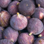 Fig