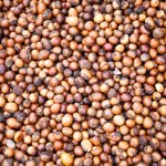 Argan