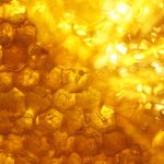 Beeswax