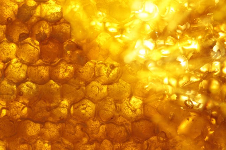 Cire d'abeille