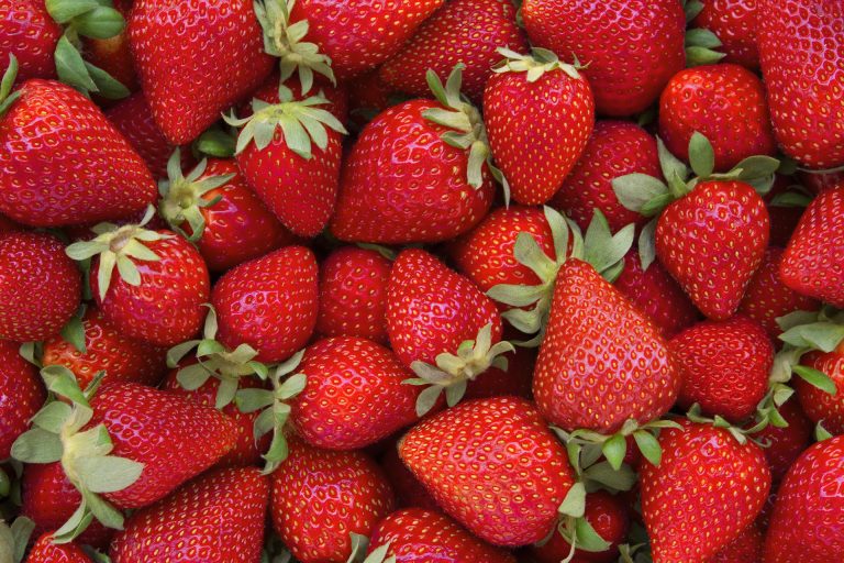 Fraises