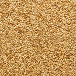 Sesame