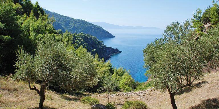 Mediterranean coast