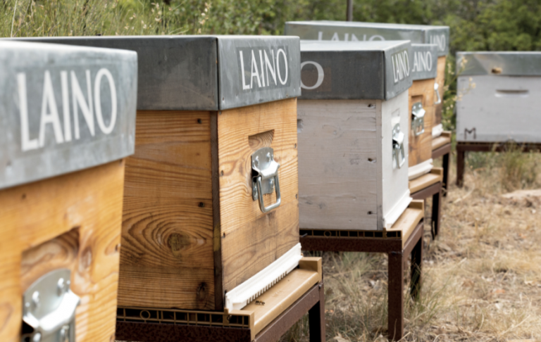 LAINO SPONSORS 10 HIVES